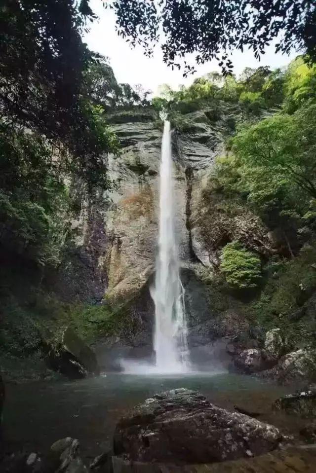 逗小猴开心系列163